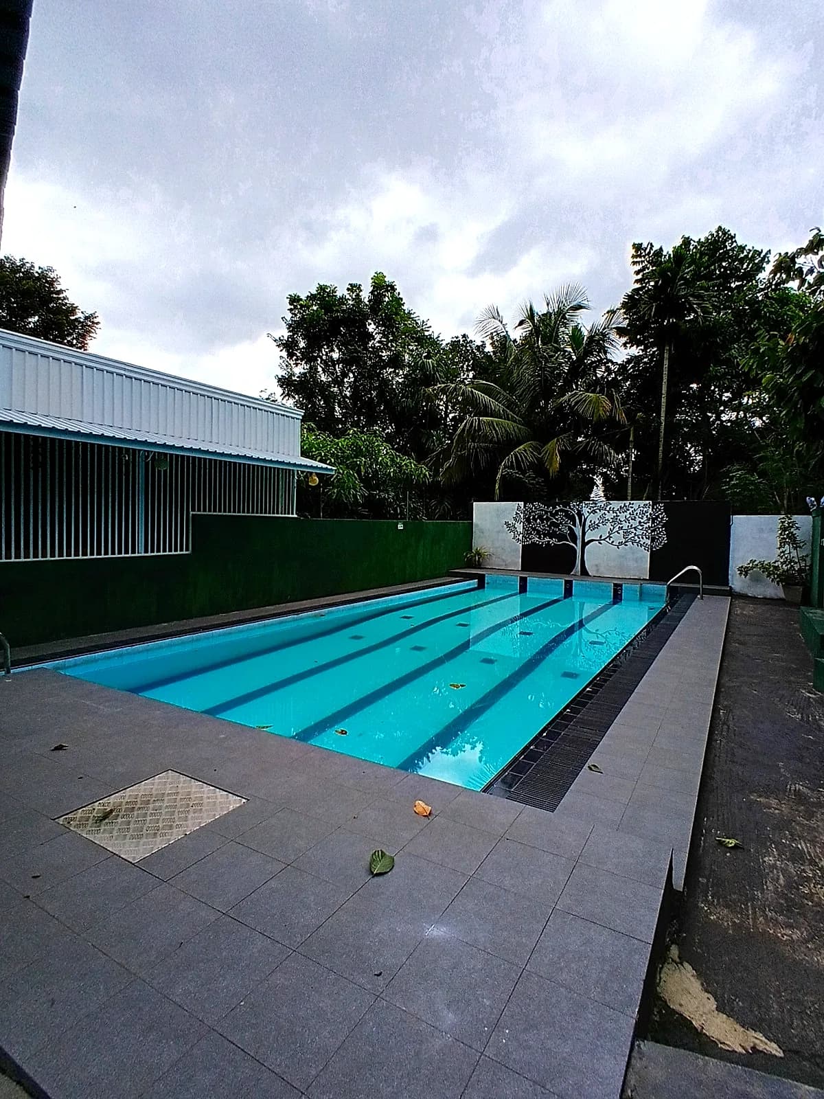 Turquoise lap pool framed by coconut palms on a cloudy afternoon