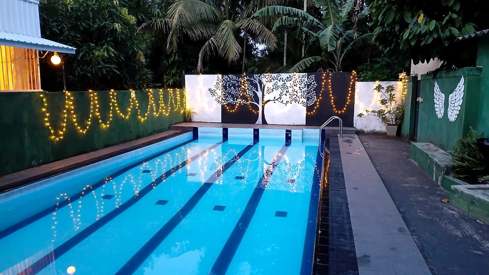 Swimming pool glowing with fairy lights at dusk beneath a painted tree